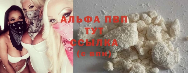 СК Михайлов