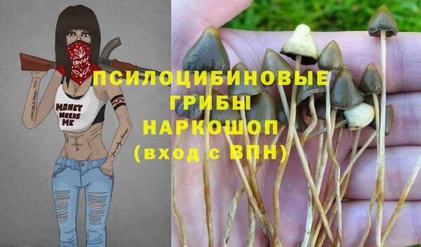 стаф Михайловск