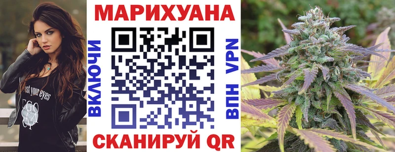 Канабис семена  mega   Чистополь 
